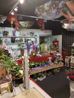 Foto 20 uit NeelyshaNieuweZaak