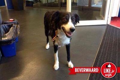 Foto 188 uit LIKEJEWIJK FOTO'S_2