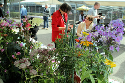 Foto 224 uit Wijkfeest12-09-2009