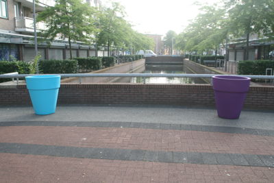 Foto 4 uit HippePlantenBakken