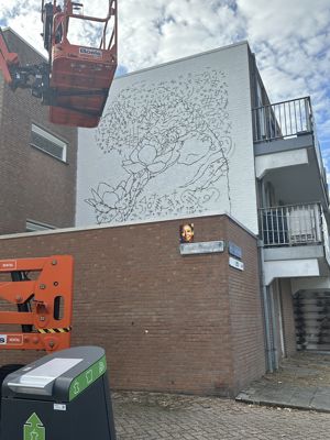 Foto 54 uit All Caps Muurschilderingen Beverwaard 2026