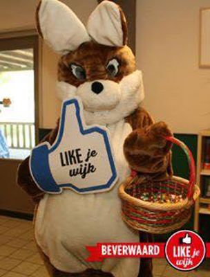 Foto 54 uit LIKEJEWIJK FOTO'S_3