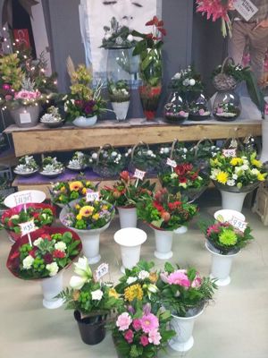 Foto 227 uit NeelyshaBloemen