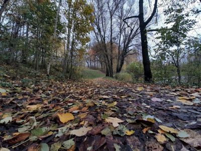 Foto 2 uit Herfst In Beverwaard