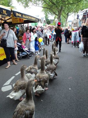 Foto 19 uit Paardenmarkt25-6