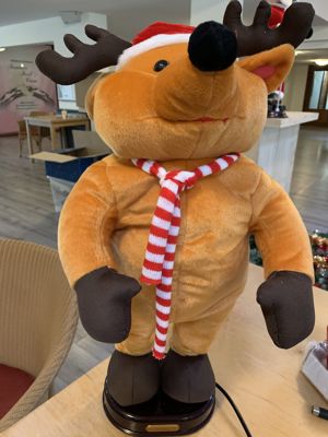 Foto 10 uit Kersversieringen2021