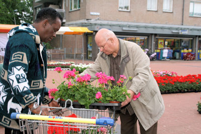 Foto 38 uit OpzoomerenPlantjes