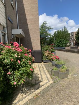 Foto 289 uit Rondje Beverwaard 2026