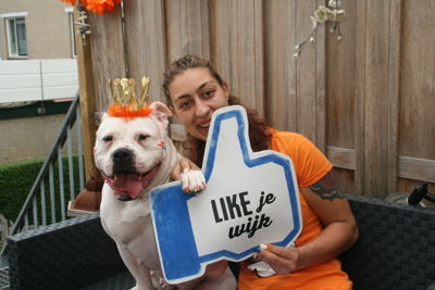 Foto 190 uit OranjeInBeverwaard