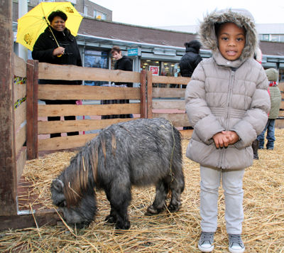 Foto 44 uit Sinterklaas 2009B.W