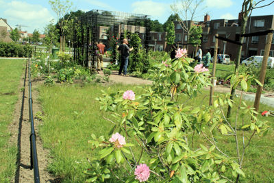 Foto 64 uit Tropische Tuin12_6