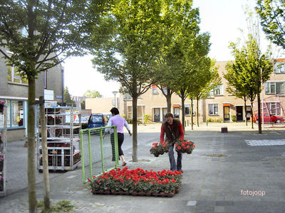 Foto 26 uit opzomeren 2005