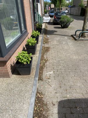 Foto 22 uit Rondje Beverwaard 2026