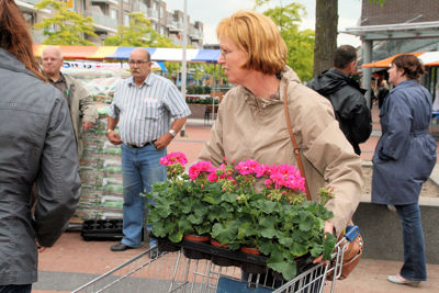 Foto 109 uit OpzoomerenPlantjes