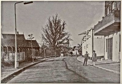 Foto 447 uit SloopEnOpbouwWIJK