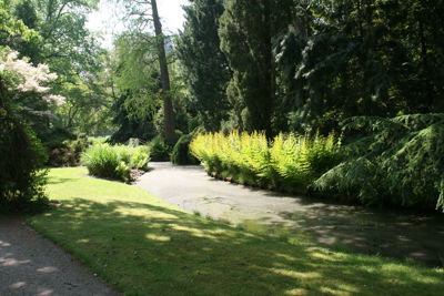 Foto 96 uit Bruiloft-Beverwaard