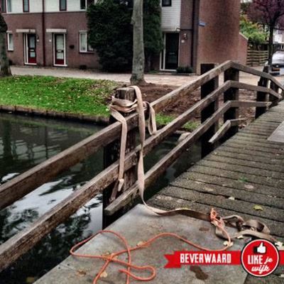 Foto 106 uit LIKEJEWIJK FOTO'S