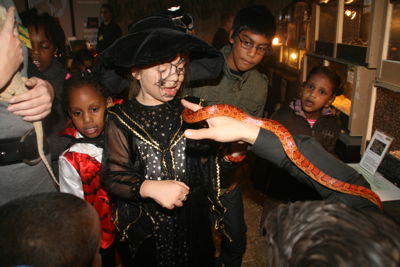 Foto 287 uit HaLLoWeeN29_10_11