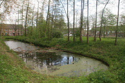 Foto 453 uit StratenBEVERWAARD