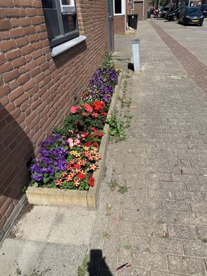 Foto 35 uit Lente En Zomer 2022