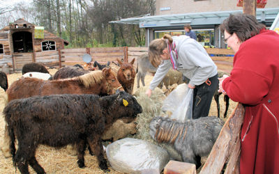 Foto 11 uit Sinterklaas 2009B.W