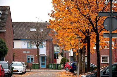 Foto 22 uit Herfst In Beverwaard