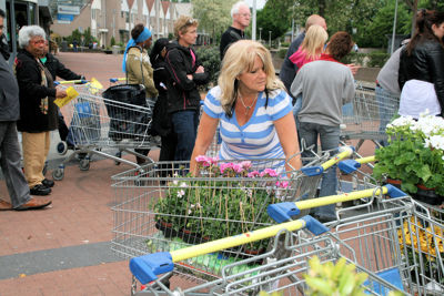 Foto 85 uit OpzoomerenPlantjes