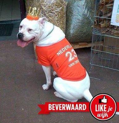 Foto 78 uit OranjeInBeverwaard