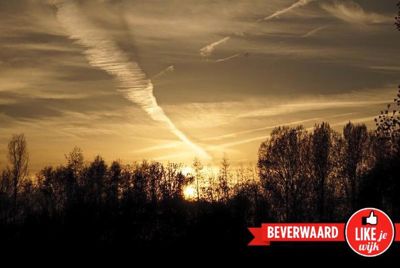 Foto 14 uit LIKEJEWIJK-2016
