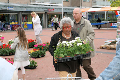 Foto 112 uit OpzoomerenPlantjes