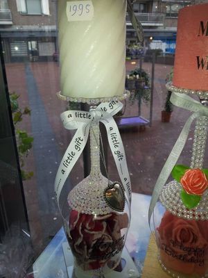 Foto 295 uit NeelyshaBloemen