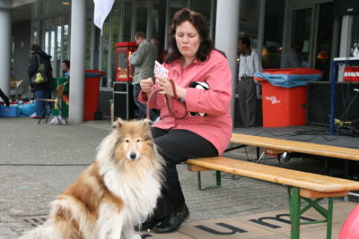 Foto 49 uit 5 Mei Viering Focus