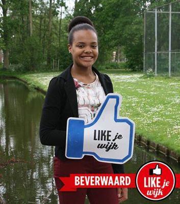 Foto 314 uit LIKEJEWIJK FOTO'S_2