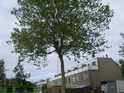 Foto 108 uit Noord_Zuid fase 2bw