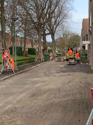 Foto 10 uit Rhijnauwensingel