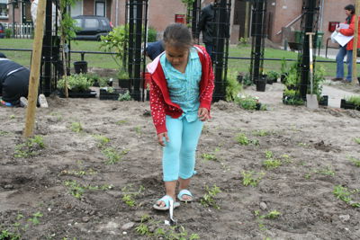 Foto 52 uit Tropische Buurttuin