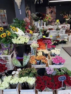 Foto 81 uit NeelyshaBloemen