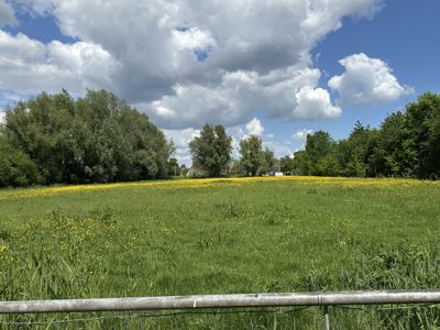 Foto 353 uit Rondje Beverwaard 2026