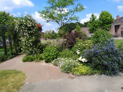 Foto 162 uit TropischeTuin 2017