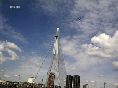 Foto 147 uit red bull air race r.dam