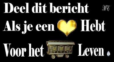 Foto 48 uit W'nwagenkampKievit