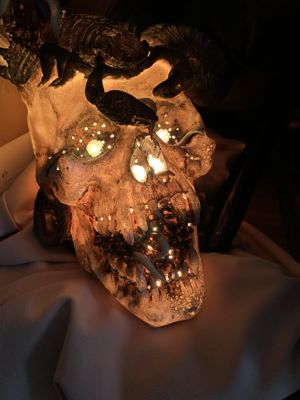 Foto 59 uit Halloween30-10-21