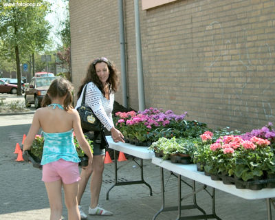 Foto 19 uit schoonmaakactie new