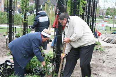 Foto 43 uit Tropische Buurttuin