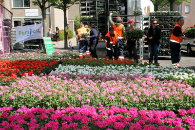 Foto 34 uit Opzoomeren20-05