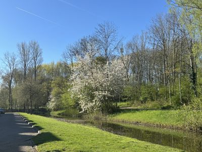 Foto 190 uit Rondje Beverwaard 2026