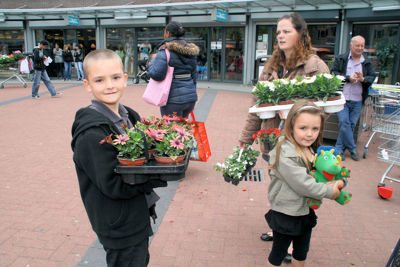 Foto 70 uit OpzoomerenPlantjes