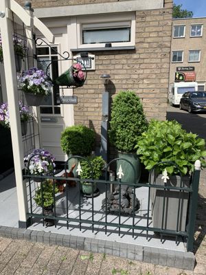 Foto 24 uit Rondje Beverwaard 2026