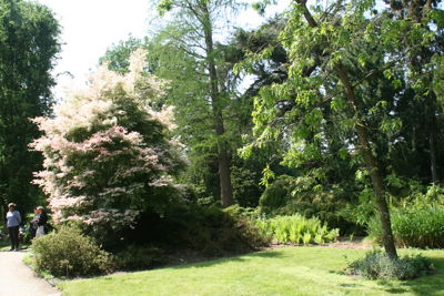 Foto 97 uit Bruiloft-Beverwaard