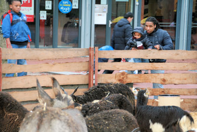 Foto 42 uit Sinterklaas 2009B.W